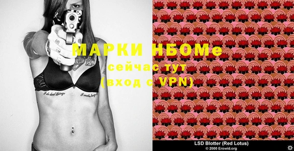 индика Заволжье