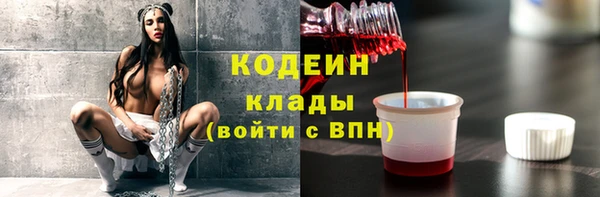 индика Заволжье