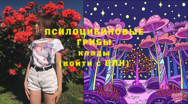 индика Заволжье