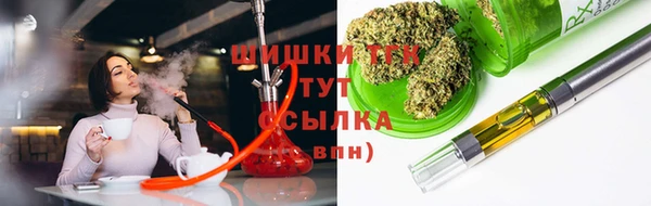 ECSTASY Заводоуковск