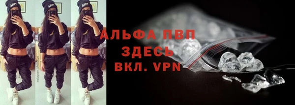 индика Заволжье