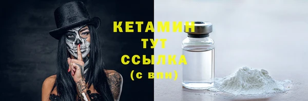 индика Заволжье