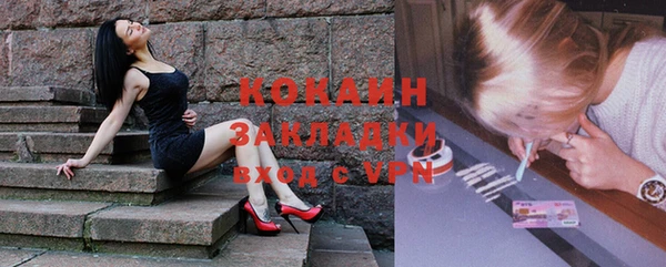 индика Заволжье