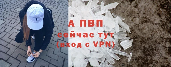 спиды Елизово