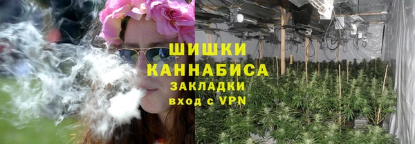 индика Заволжье