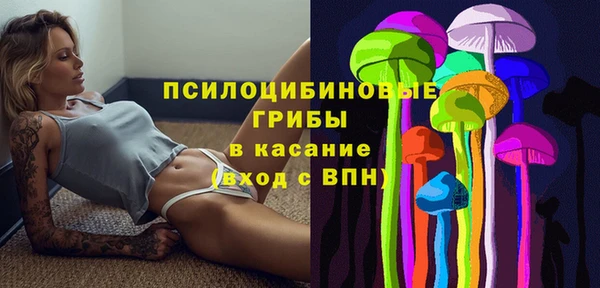 ECSTASY Заводоуковск