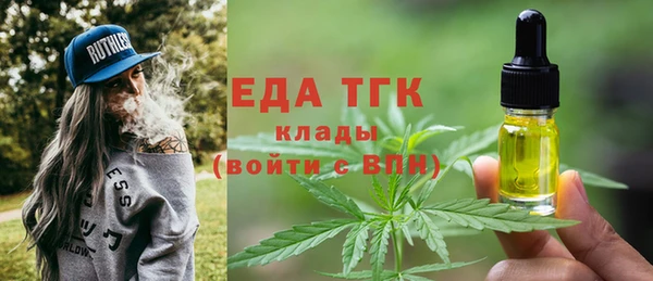 индика Заволжье