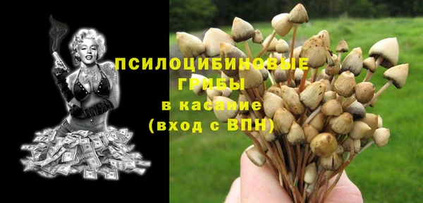 индика Заволжье