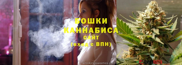 индика Заволжье