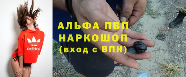 стафф Заволжск