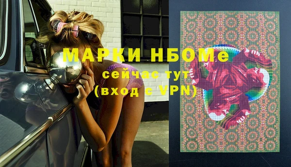 индика Заволжье