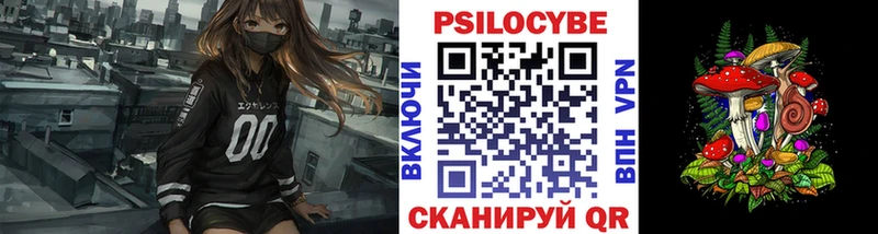 Купить где  Новочебоксарск  Псилоцибиновые грибы Cubensis 