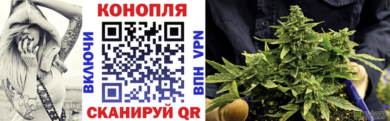 Конопля OG Kush  Купить  Новочебоксарск 